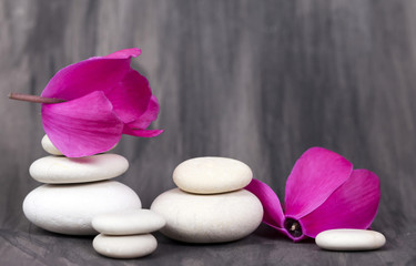 Spa still life with pink orchid and white zen stone