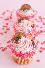 Group of fairy cupcakes with sprinkles around it
