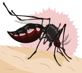 Mosquito Biting a Person, Vector Illustration