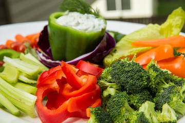 Platter of farm fresh vegetables for party food