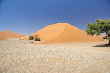 Fototapeta na wymiar Dune 45 in Namib Desert, Namibia.