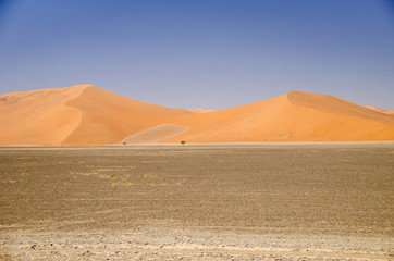 Fototapeta na wymiar Dunes in Namib Desert, Namibia.