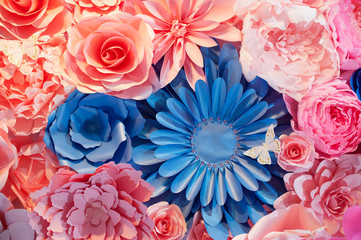 Abstract background of flowers for wedding Close up