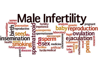 Male Infertility, word cloud concept 8