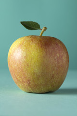 A single red cox apple on a grey background