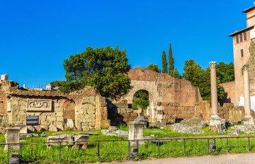 Rome, ruins of the Forum