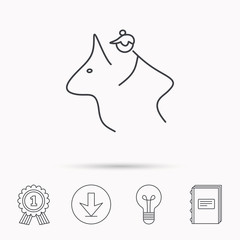 Horseback riding icon. Jockey rider sign.