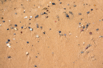 Background made of wet sand and pebbles