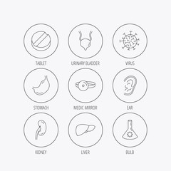Virus, tablet and stomach organ icons.