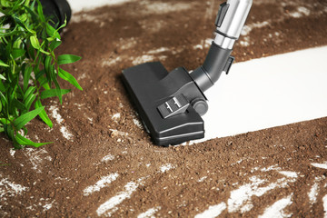 Vacuum cleaning after falling flower pot on a tiled floor