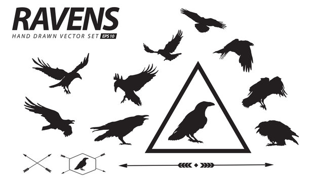 Hand Drawn Ravens Vector Set