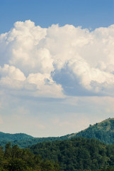 Fototapeta premium landscape forest hill and beautiful white clouds