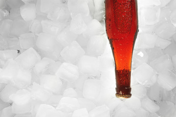 Bottle of beer in ice