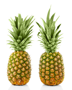 Two ripe fresh pineapples, isolated on white © Africa Studio