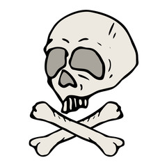 Skull illustration