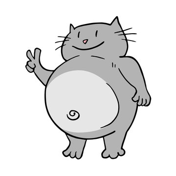 funny fat cat