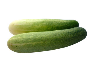 fresh green cucumber on white background vegetables thailand 6