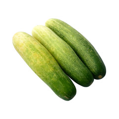 fresh green cucumber on white background vegetables thailand 14