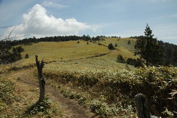 高原の登山道