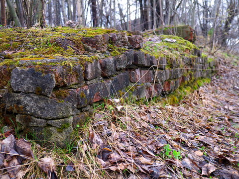 old brick wall covered with moss