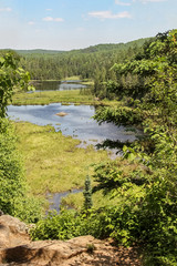 Fototapeta premium Beaver lodges in Algonquin Park