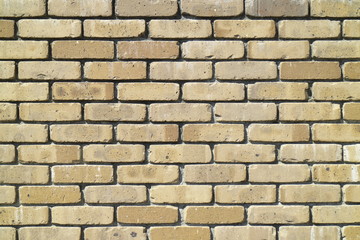 レンガの壁の背景素材　Brick Texture background