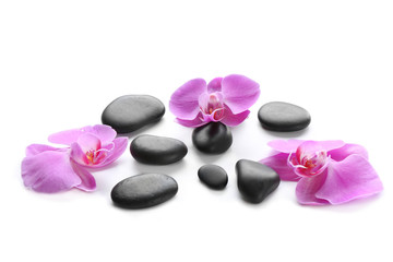 Fototapeta na wymiar Black spa stones and orchids isolated on white