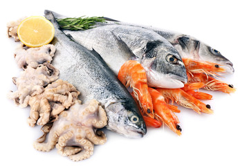Fresh Mediterranean cocktail of fish on white background, close up