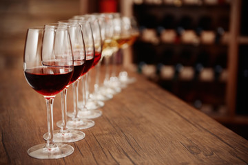 Many glasses of different wine in a row on bar counter