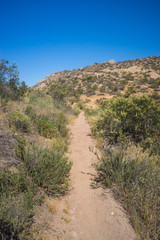 Small Dirt Hiking Trail