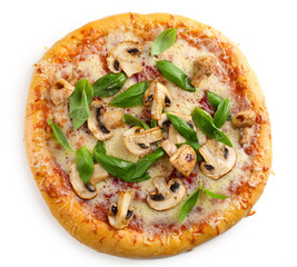 Delicious tasty pizza with vegetables, isolated on white