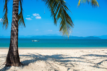 Clear sea, beach and coconut palm leaves in summer season