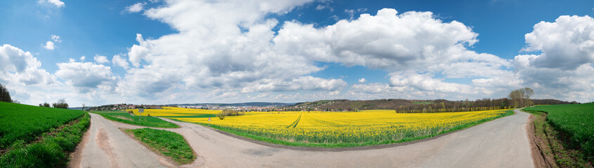 Obraz premium Spring rape field panorama