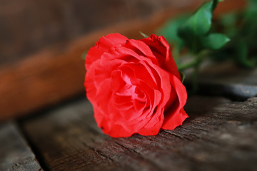 rose bud stem wooden old