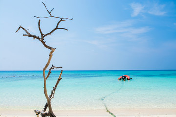 Tropical sea beach in summer time