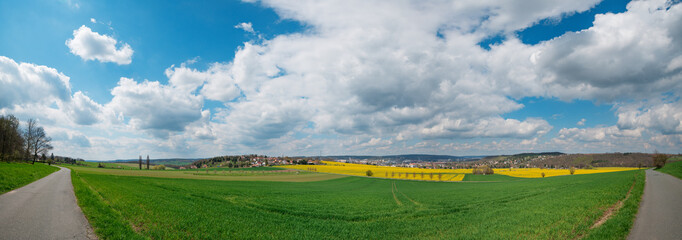 Spring rape field panorama