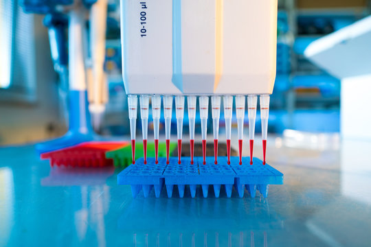 Multi pipette in genetic laboratory
