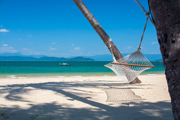 palm trees on beach with cradle