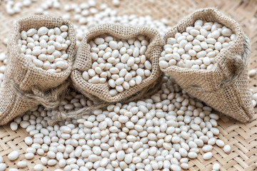 Closeup white beans, Navy beans