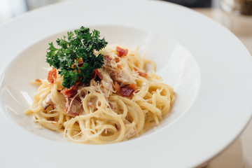spaghetti on the dish