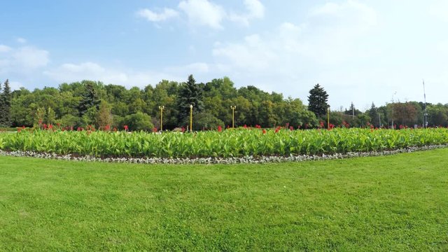 Flower Garden in city park