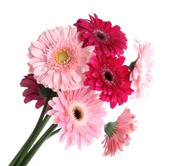 Cercles muraux Gerbera Bouquet of gerbers isolated on white