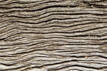 Wavy wooden background