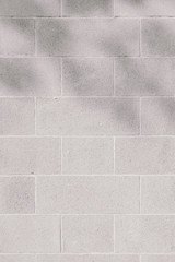 Fototapeta premium brick background,texture