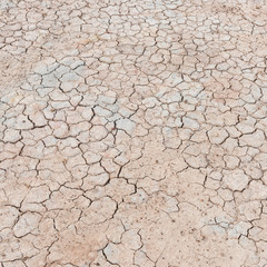 Crack soil texture background