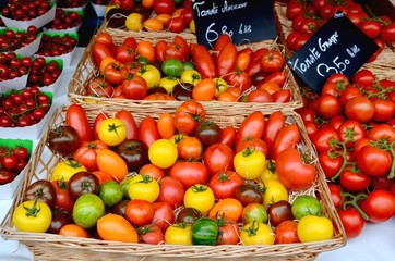 Tomatoes an market. Colorful tomatoes. 