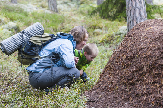 Mother and son by anthill in forest