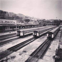 treni in stazione