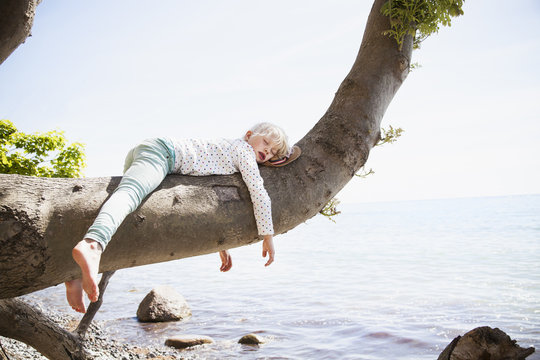 Young girl sleeping on branch by sea