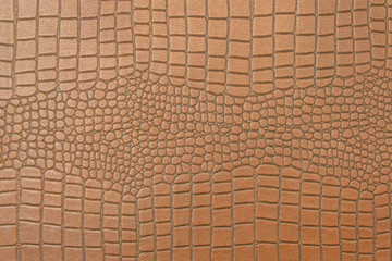 Skin of Crocodile texture pattern for background